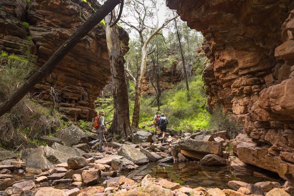 Flinders Ranges Walk - 8 Days